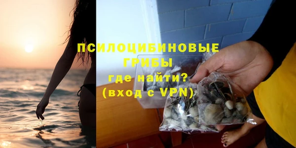 jwh Саяногорск