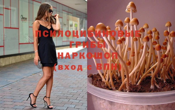 jwh Саяногорск