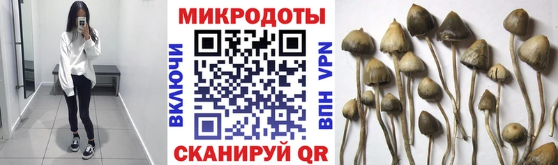 Галлюциногенные грибы прущие грибы  как найти   Снежинск 
