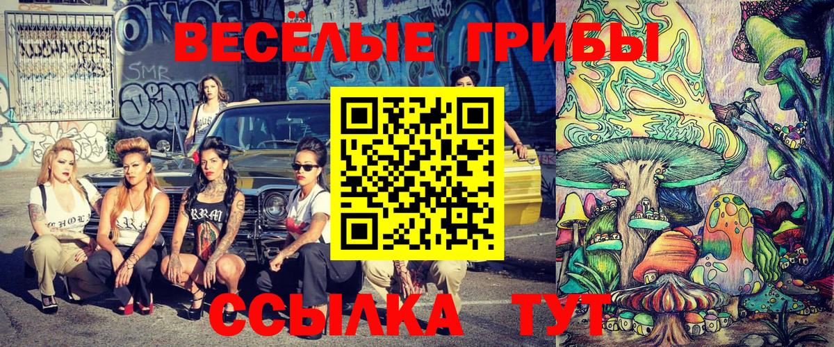 Снежинск  Псилоцибиновые грибы мицелий  Вход с VPN 